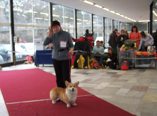 Olomouc 2008 náš velký úspěch-V1,NV,CAC,BOB.